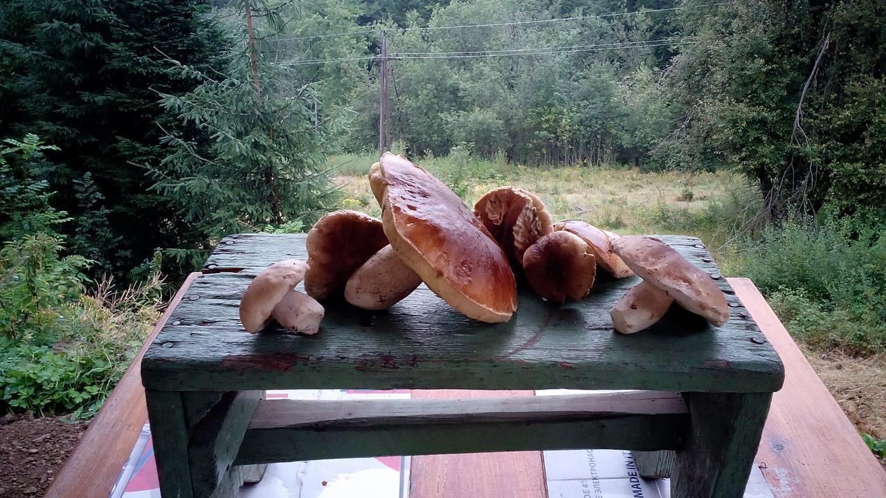 Chata Wostry Bila  Zewnętrze zdjęcie